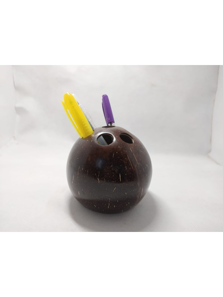 Coconut Shell Pen Holder